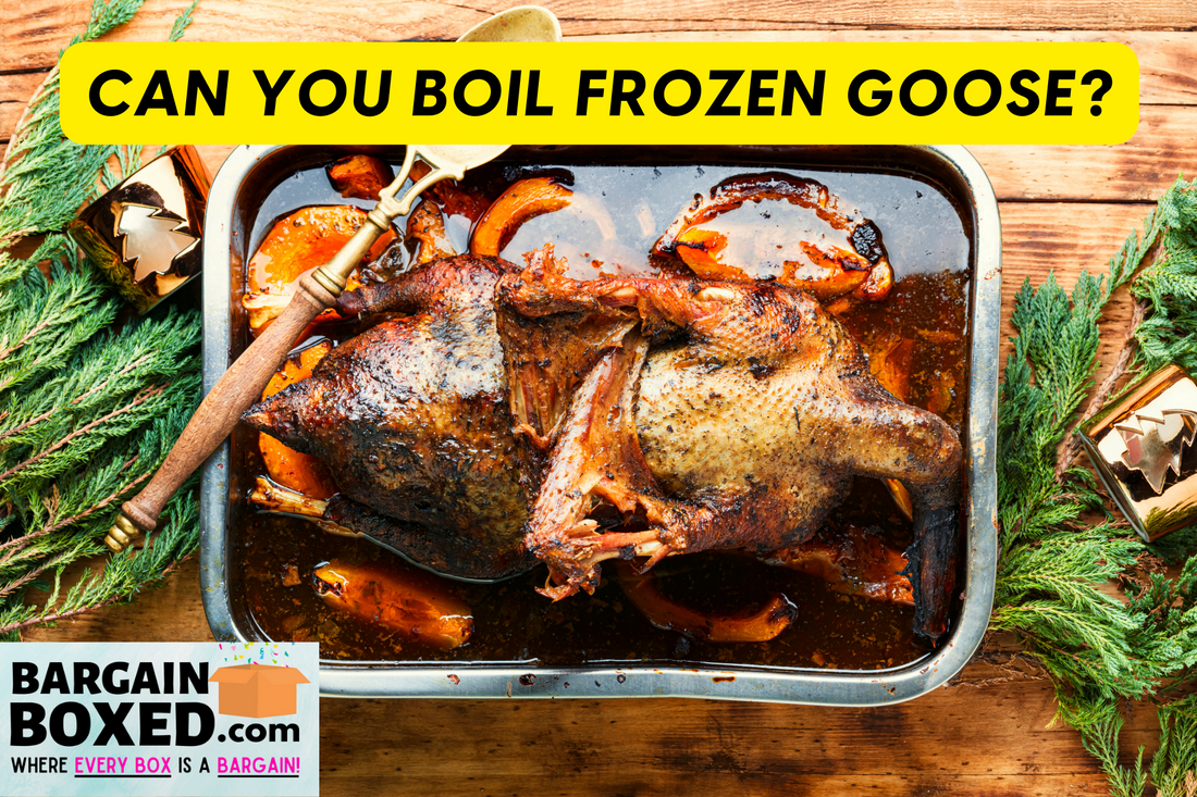 Can You Boil Frozen Goose? Best Tips To Store Goose & More