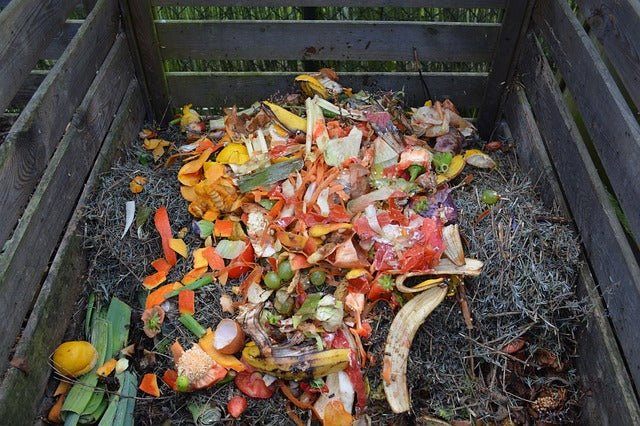 Composting, Compost Tea, Tips Tricks + How To Start! | BargainBoxed.com