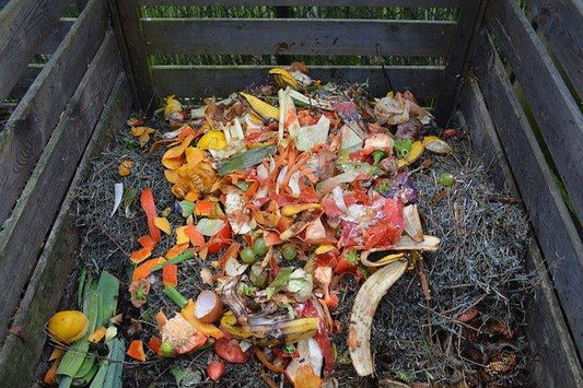 Composting, Compost Tea, Tips Tricks + How To Start! | BargainBoxed.com