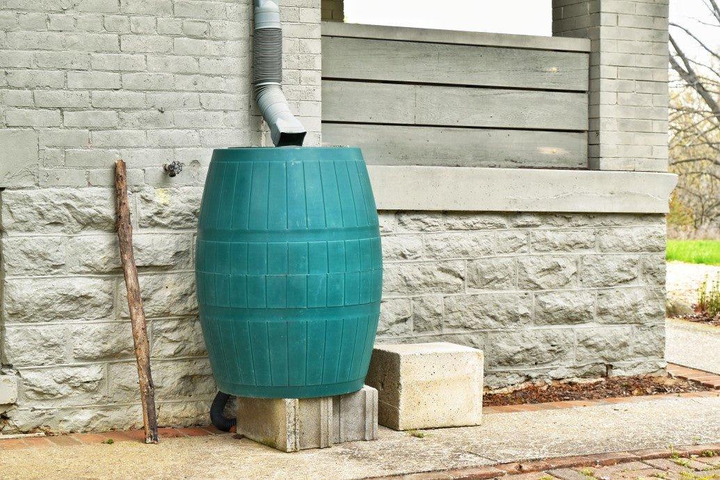 How To Collect Rain Water & Why You Should | BargainBoxed.com