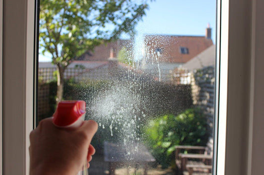 How & Why You Should Clean Windows With Vinegar | BargainBoxed.com