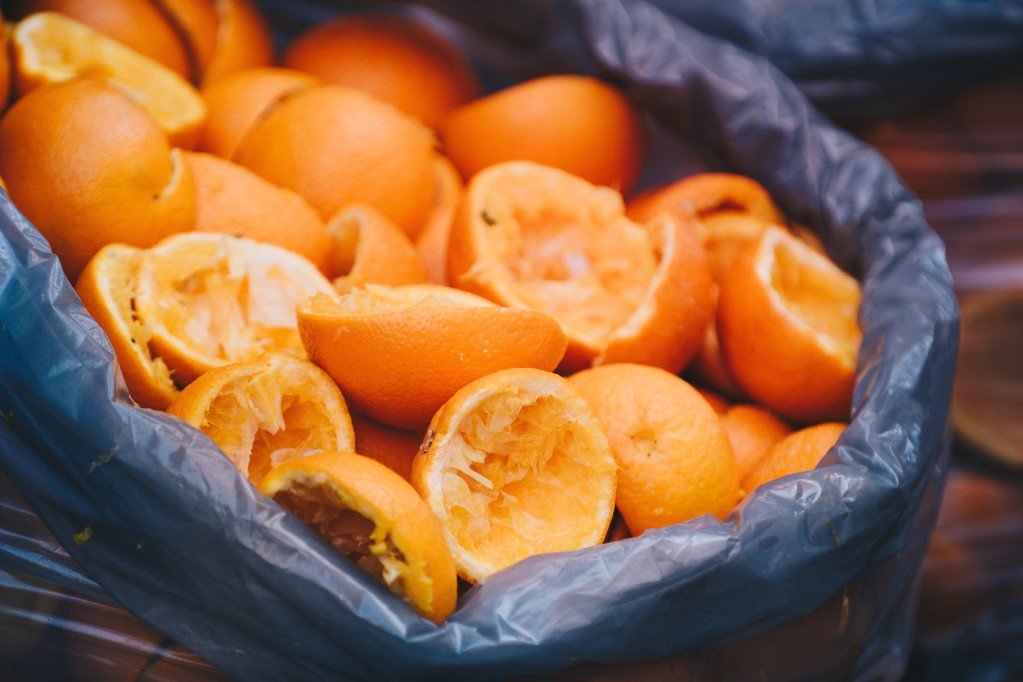 Is Food Waste A Problem? | BargainBoxed.com
