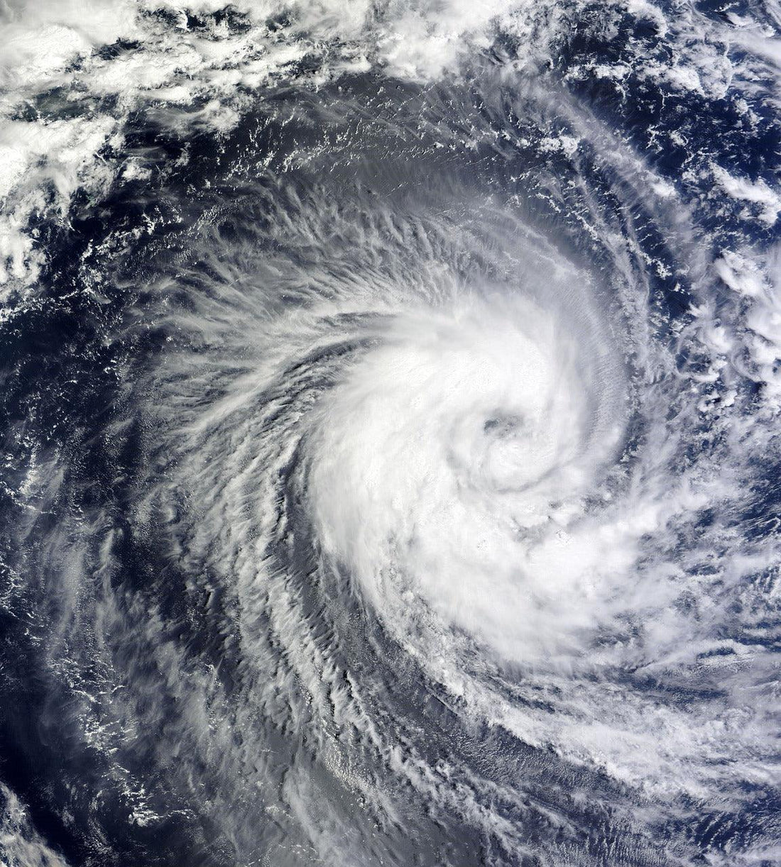 Top 10 Bulk Items to Stock Up on for Hurricane Season and Other Emergencies - BargainBoxed.com