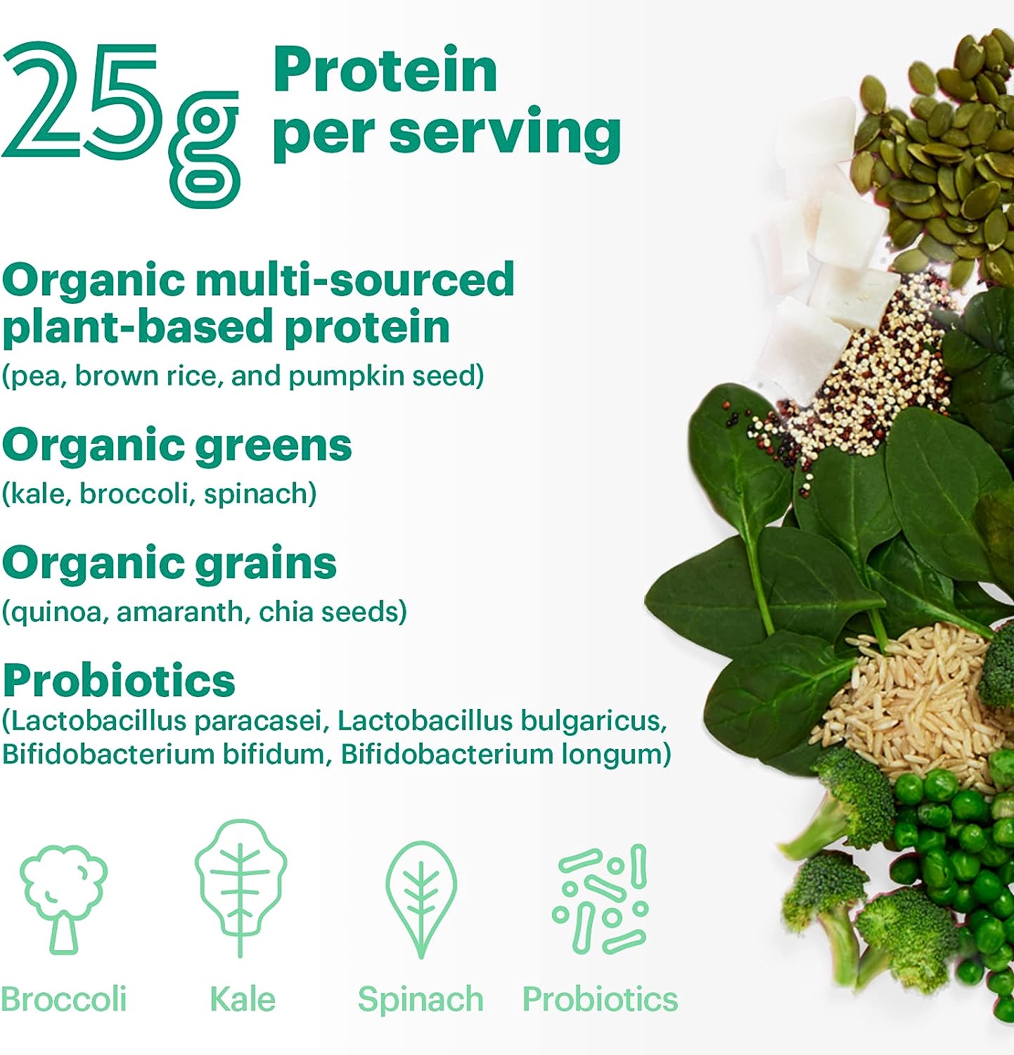 Natreve Vegan Protein Powder Fudge Brownie 23.8 oz