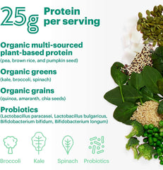 Natreve Vegan Protein Powder Fudge Brownie 23.8 oz