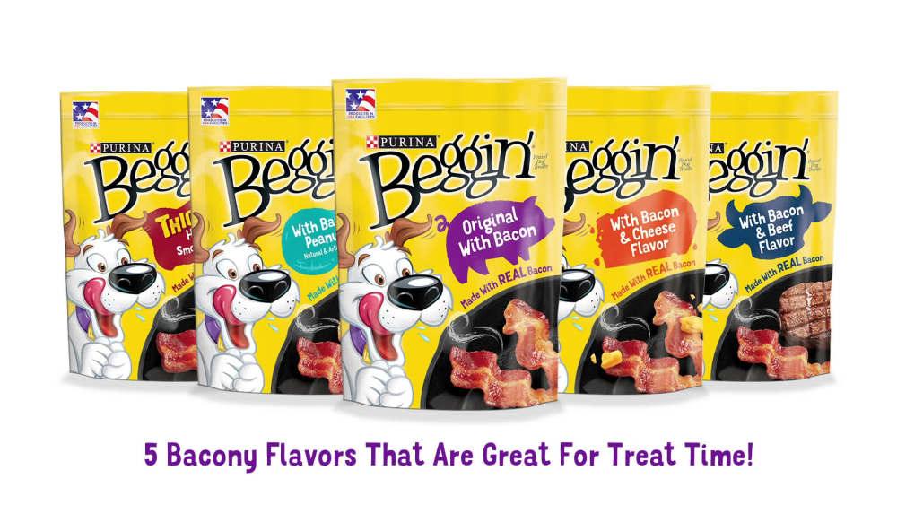 Purina Beggin' Strips Dog Treats, Original With Bacon Flavor - BargainBoxed.com